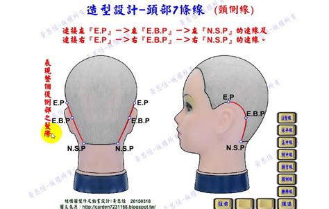 頭部七條基準線